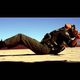 Y/N: Tinashe Makes Being Stranded in the Desert Look Not So Bad